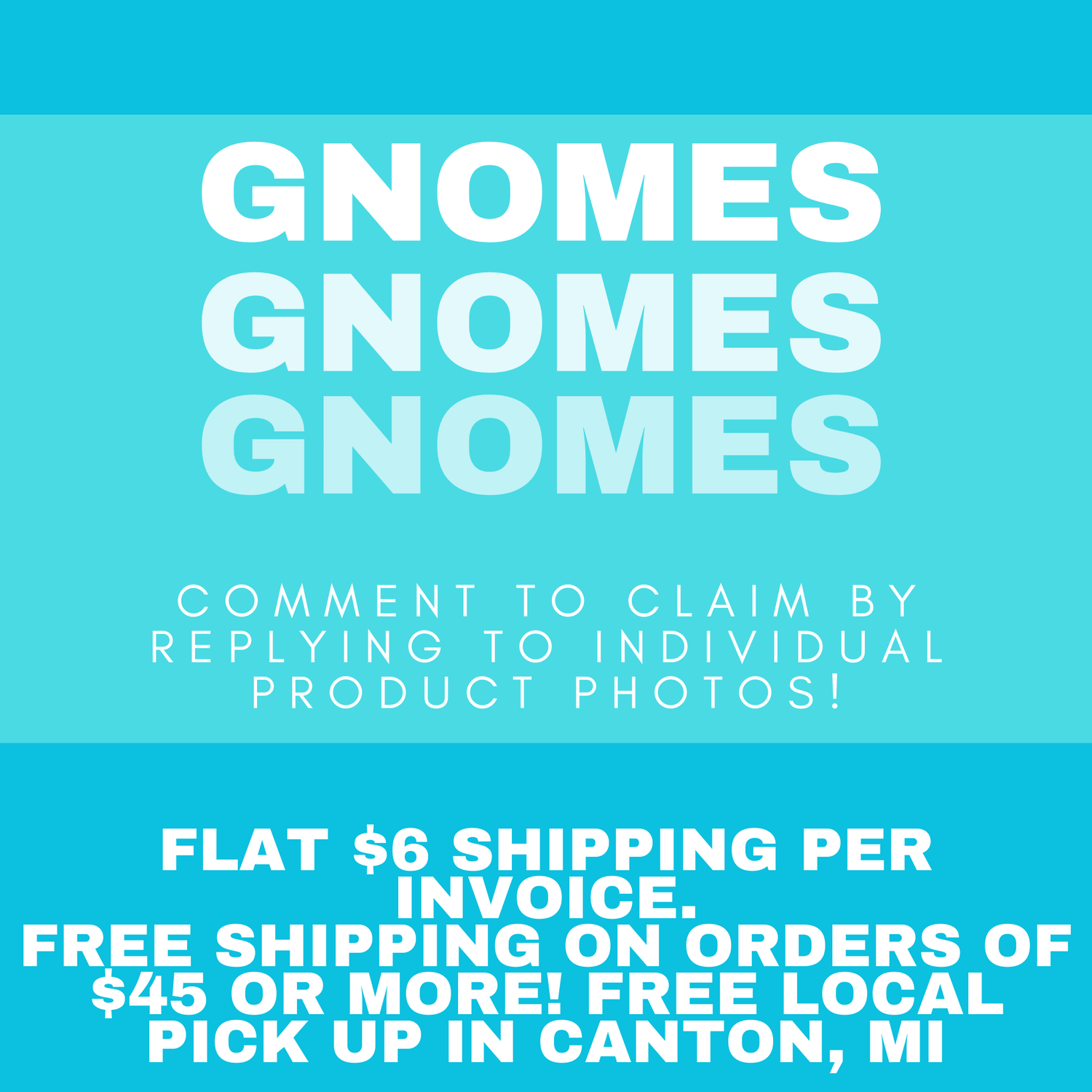 Inventory Clearout Sale - Gnomes