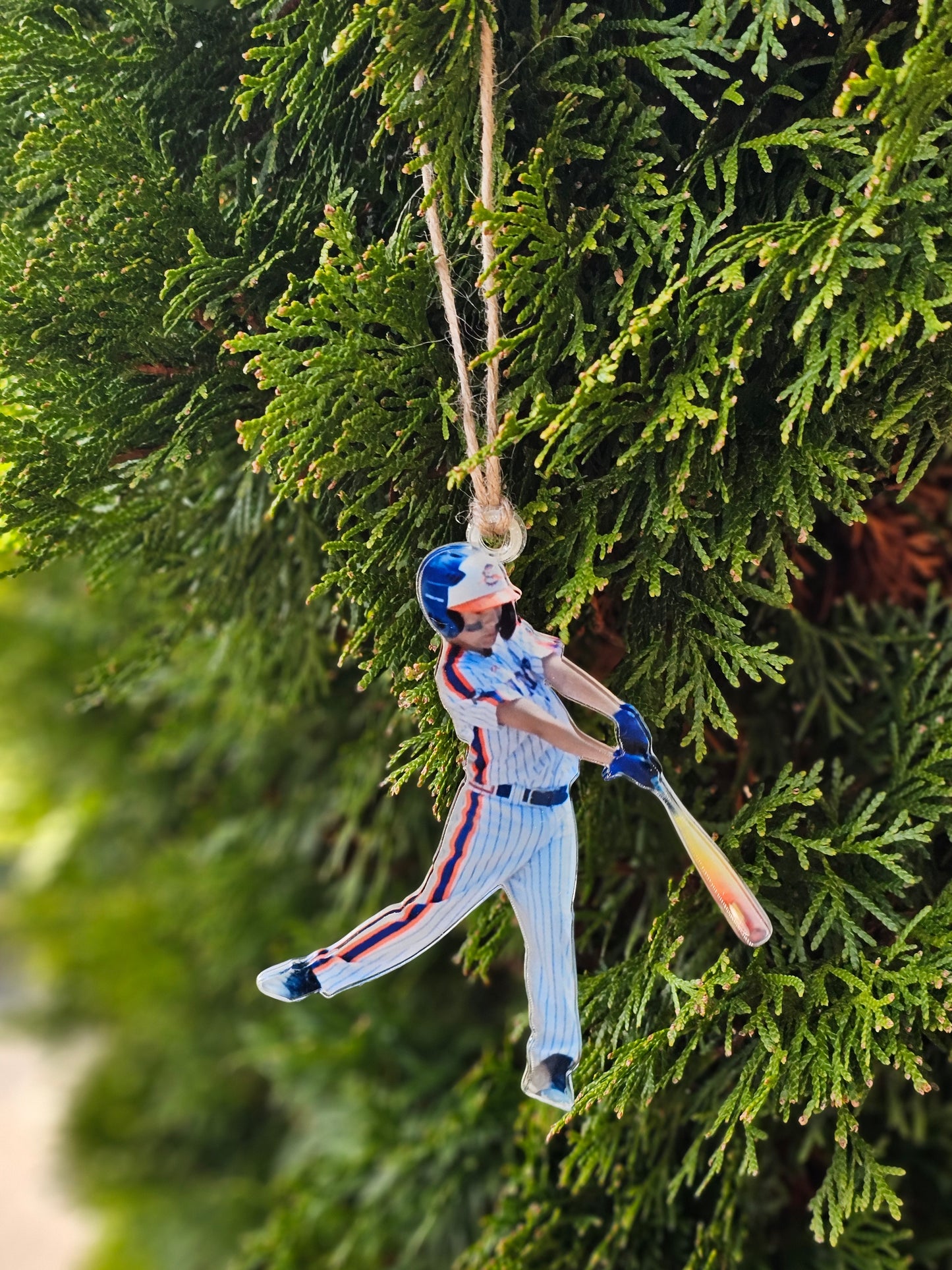 Custom Photo Ornament - Hit Dogs Fundraiser